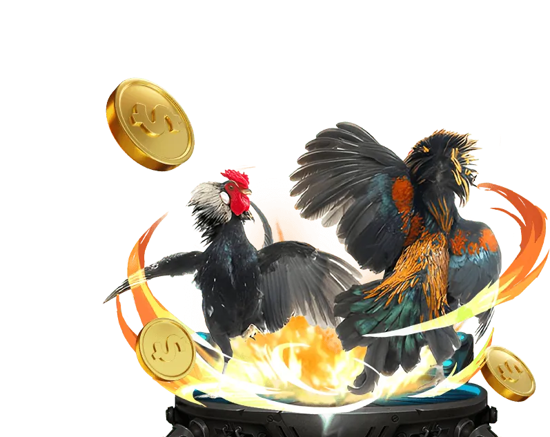 Chương trình VIP và khách hàng thân thiết tại Kingfun